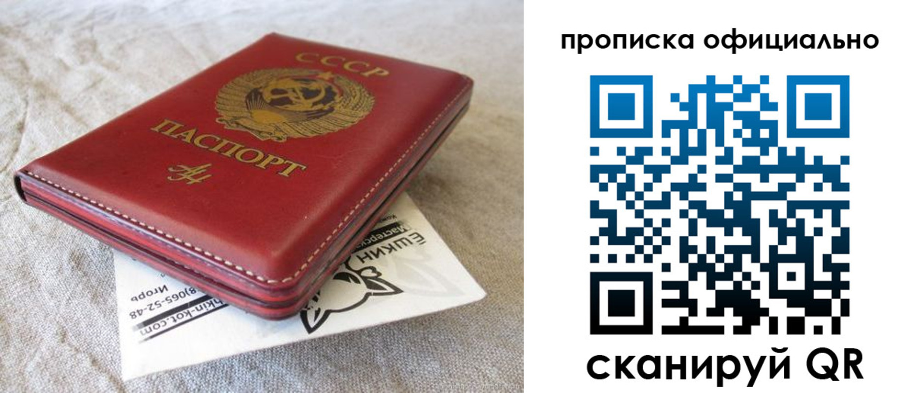 прописка иностранных граждан в Алексеевке